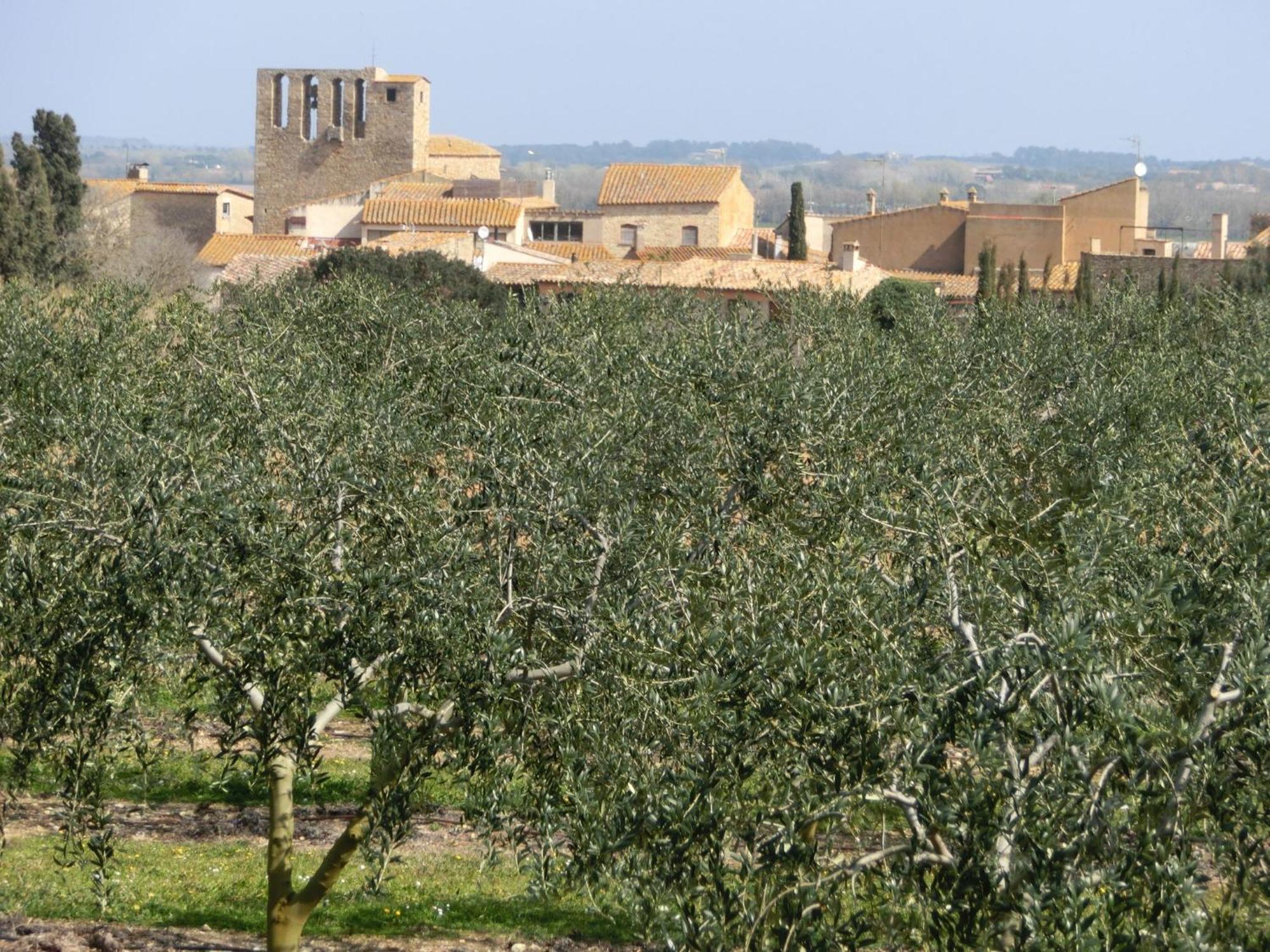 Can Barrull-Costa Brava-Emporda Sant Feliu de Boada Kültér fotó