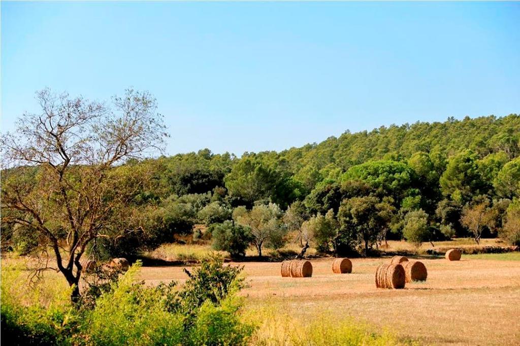 Can Barrull-Costa Brava-Emporda Sant Feliu de Boada Szoba fotó
